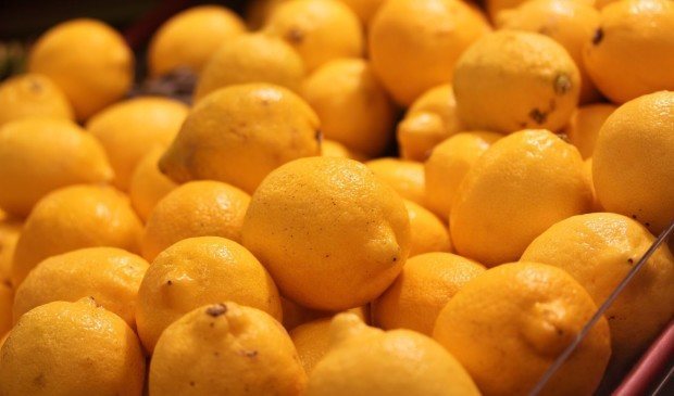IMG_8705 the best lemons