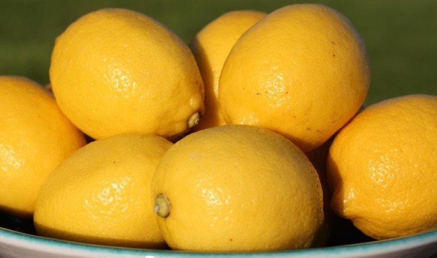 IMG_8741 lemons for the master cleanse
