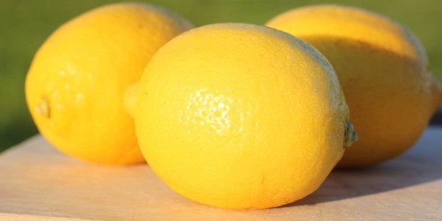 IMG_8816 master cleanse lemons
